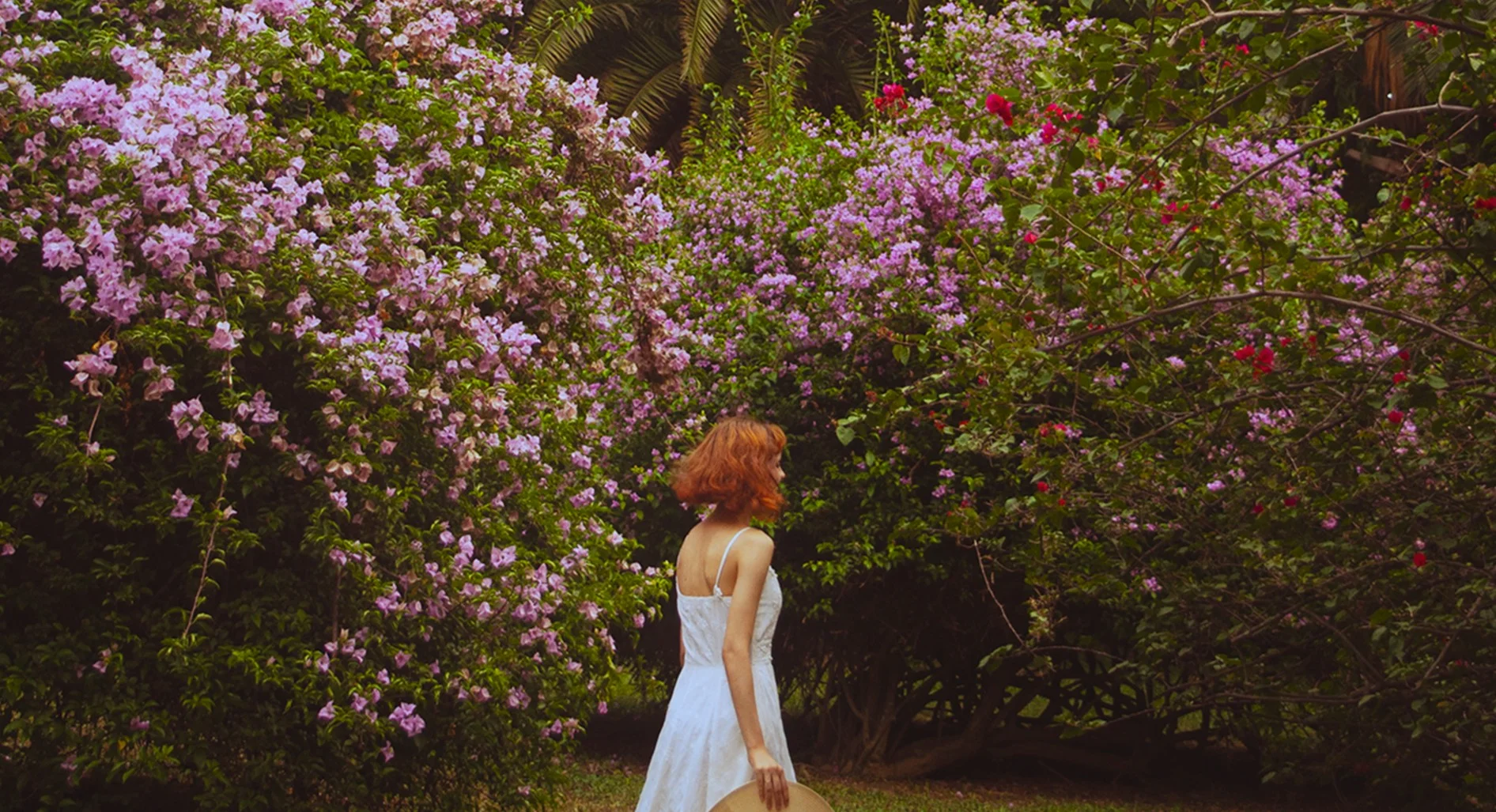 Mulher entre flores em ensaio fotográfico ao ar livre